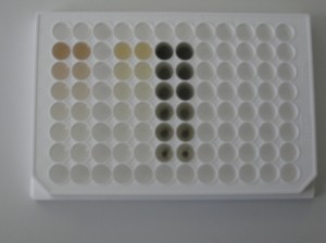 thermo 010